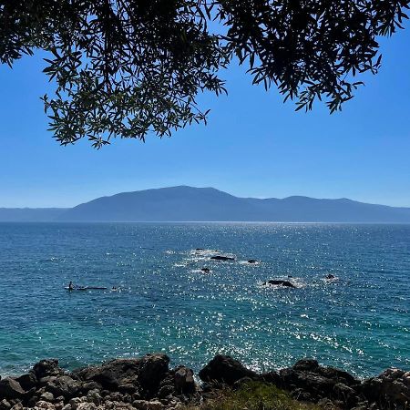 Tekada Hotel & Restaurant Vlorë 外观 照片