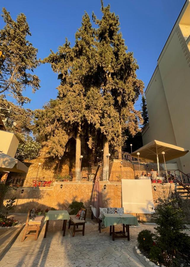 Tekada Hotel & Restaurant Vlorë 外观 照片